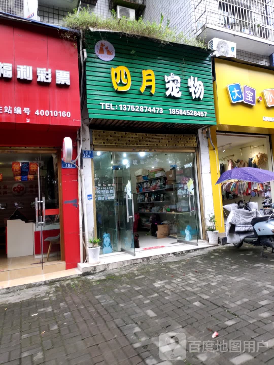 四月宠物