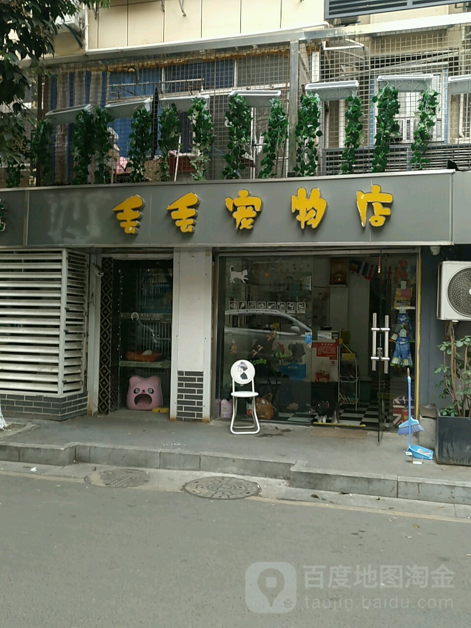 丢丢宠物店