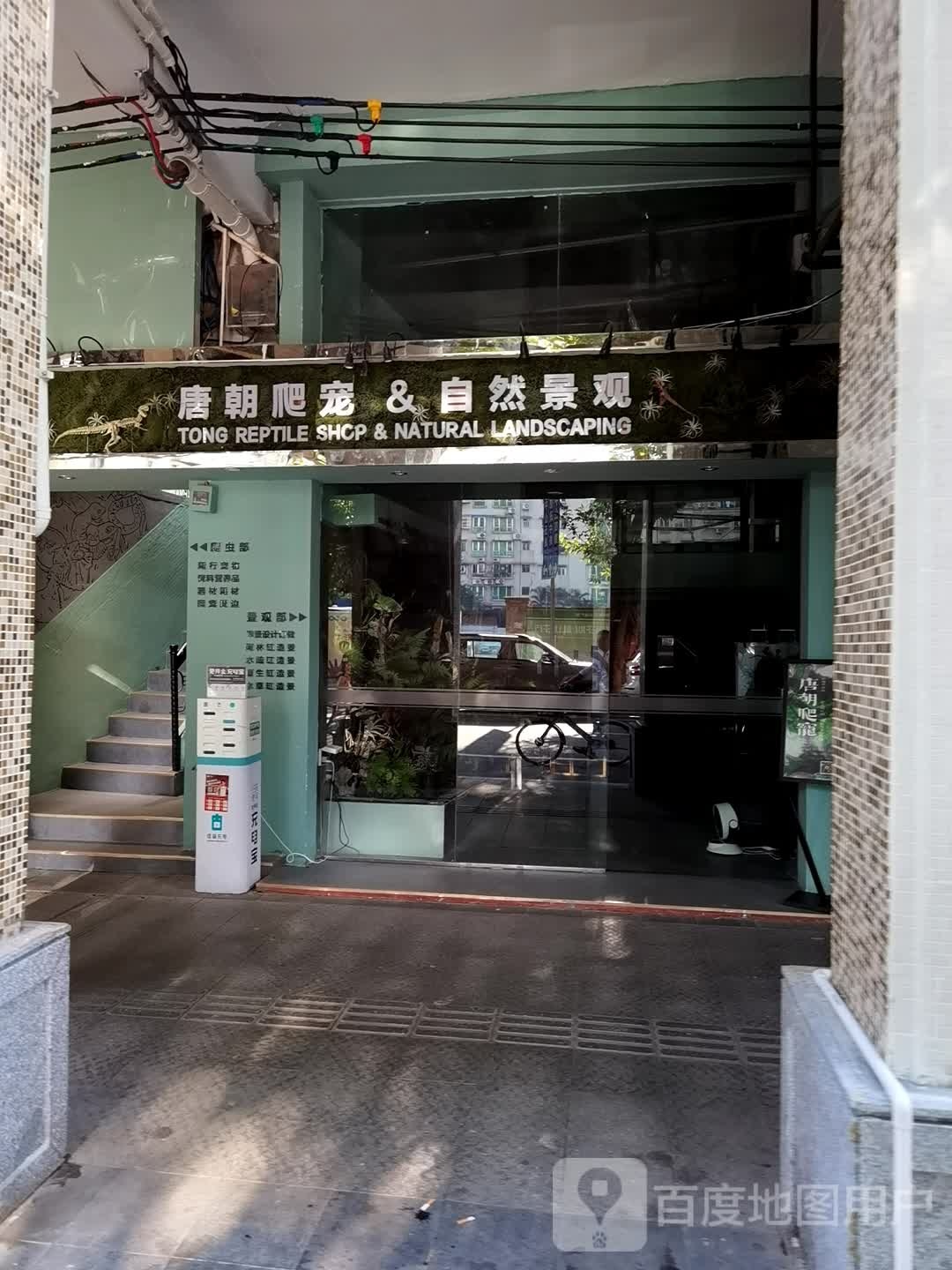 唐朝爬宠Tong Reptile Shop