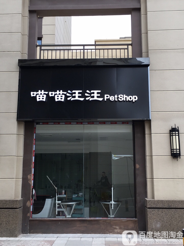 喵喵汪汪