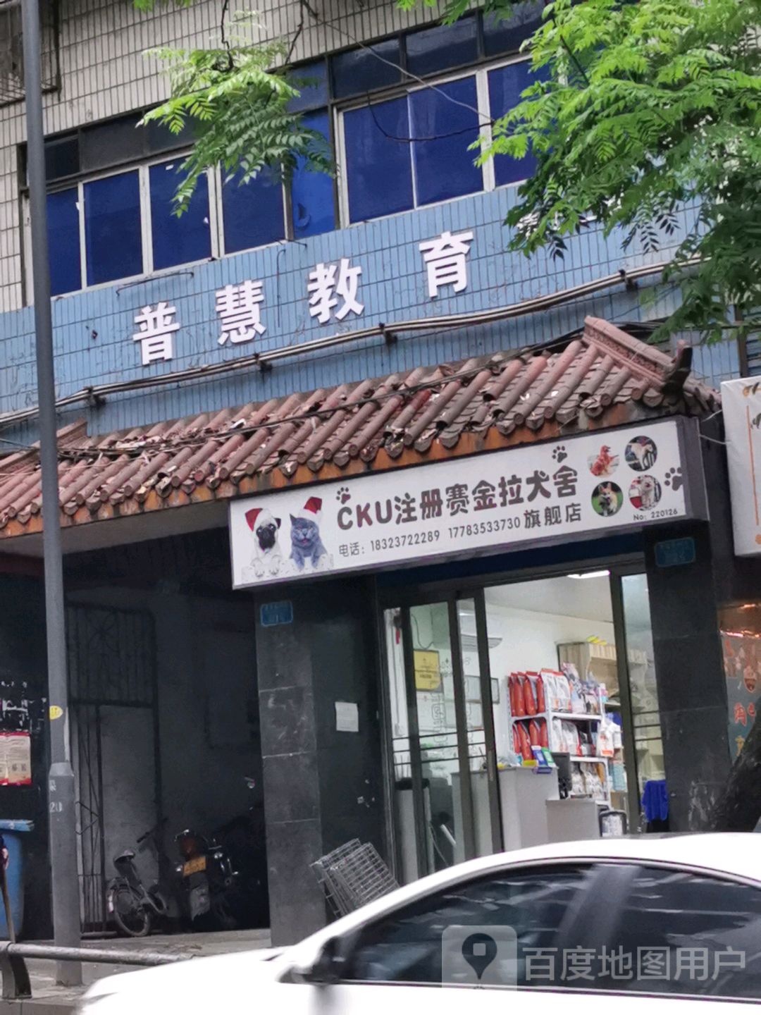 CKU注册赛金拉犬舍旗舰店(NO.220126店)