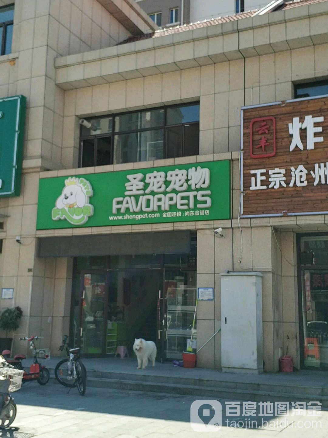 圣宠宠物(武清尚东金街店)