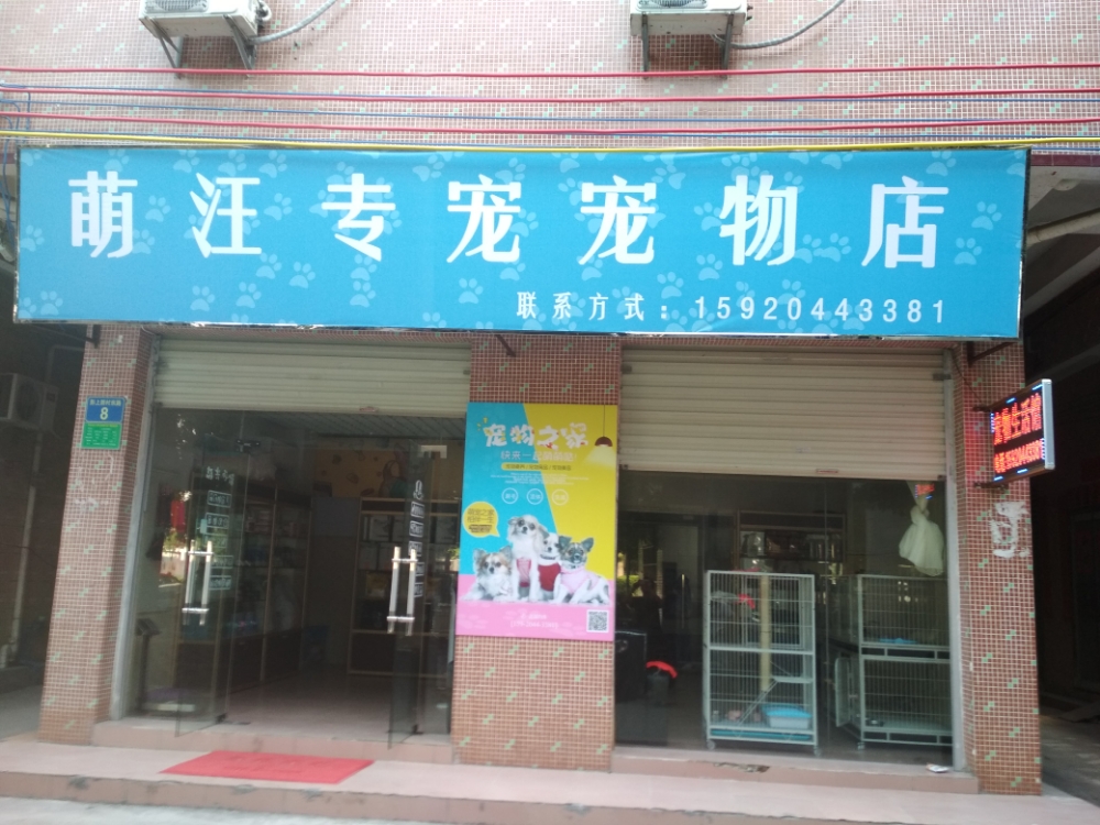 萌汪专宠宠物店