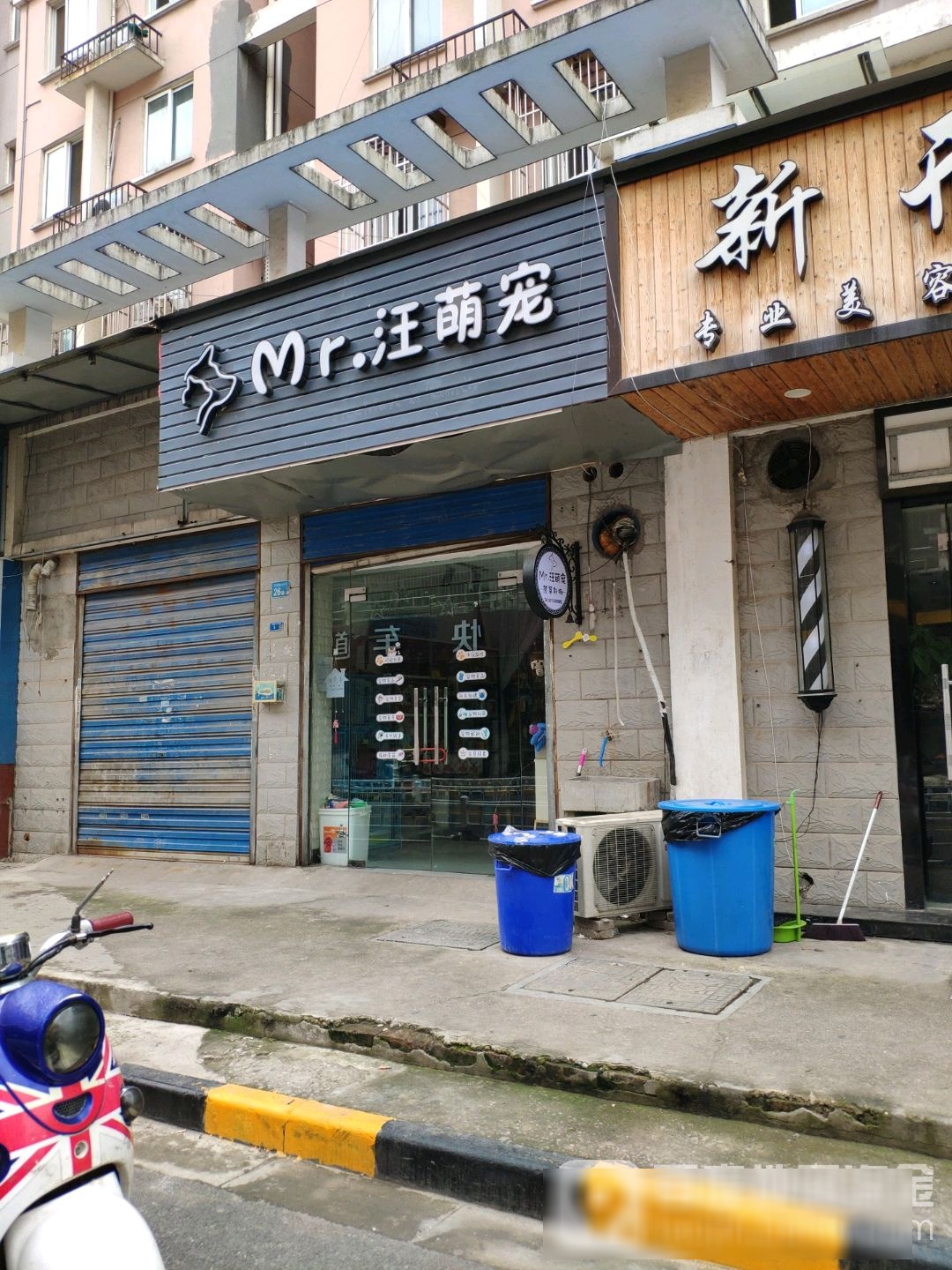 Mr.汪萌宠