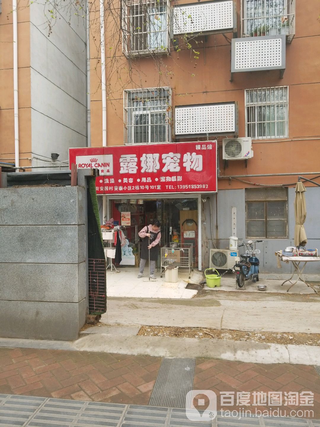 露娜宠物