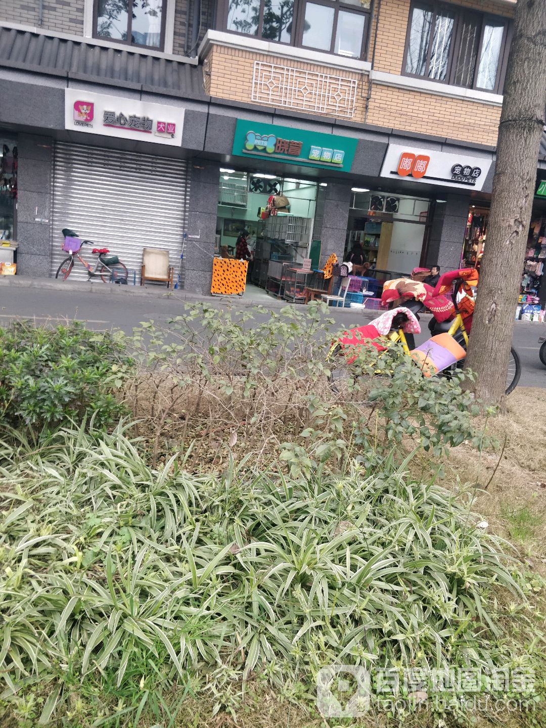 晓萱宠物店