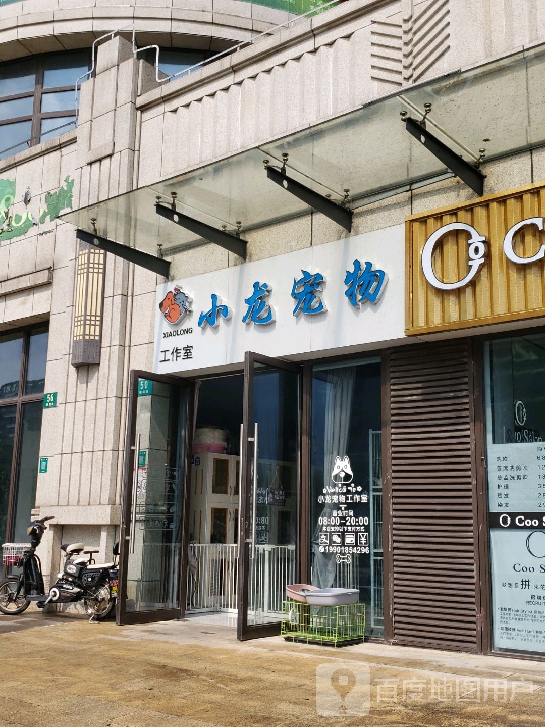 小龙宠物工作室