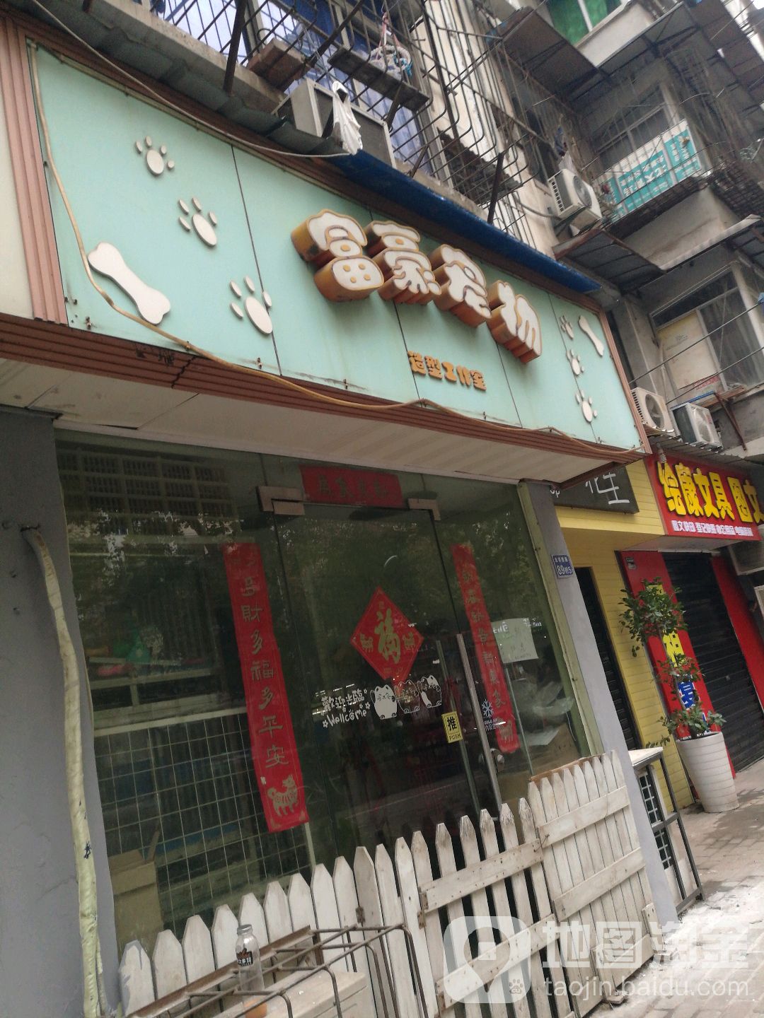 富豪宠物