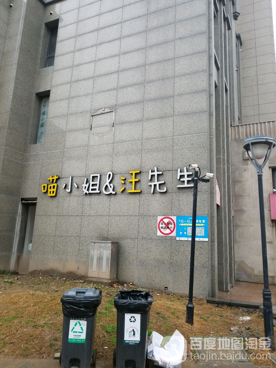 喵小姐汪先生