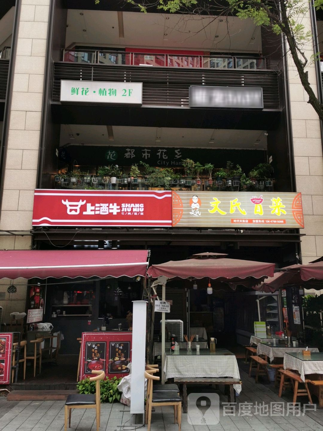 萌宠BABY
