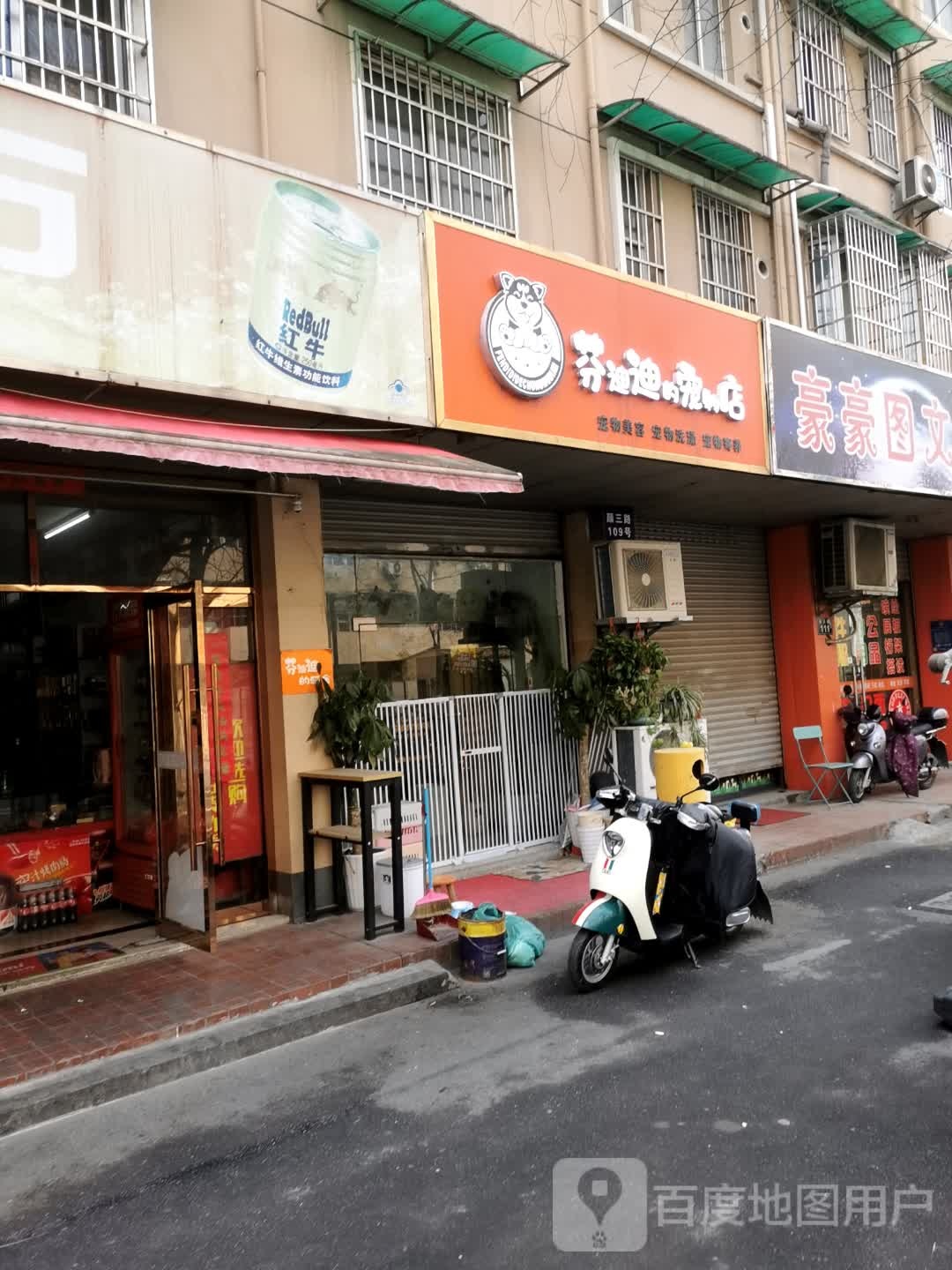 芬迪迪的宠物店