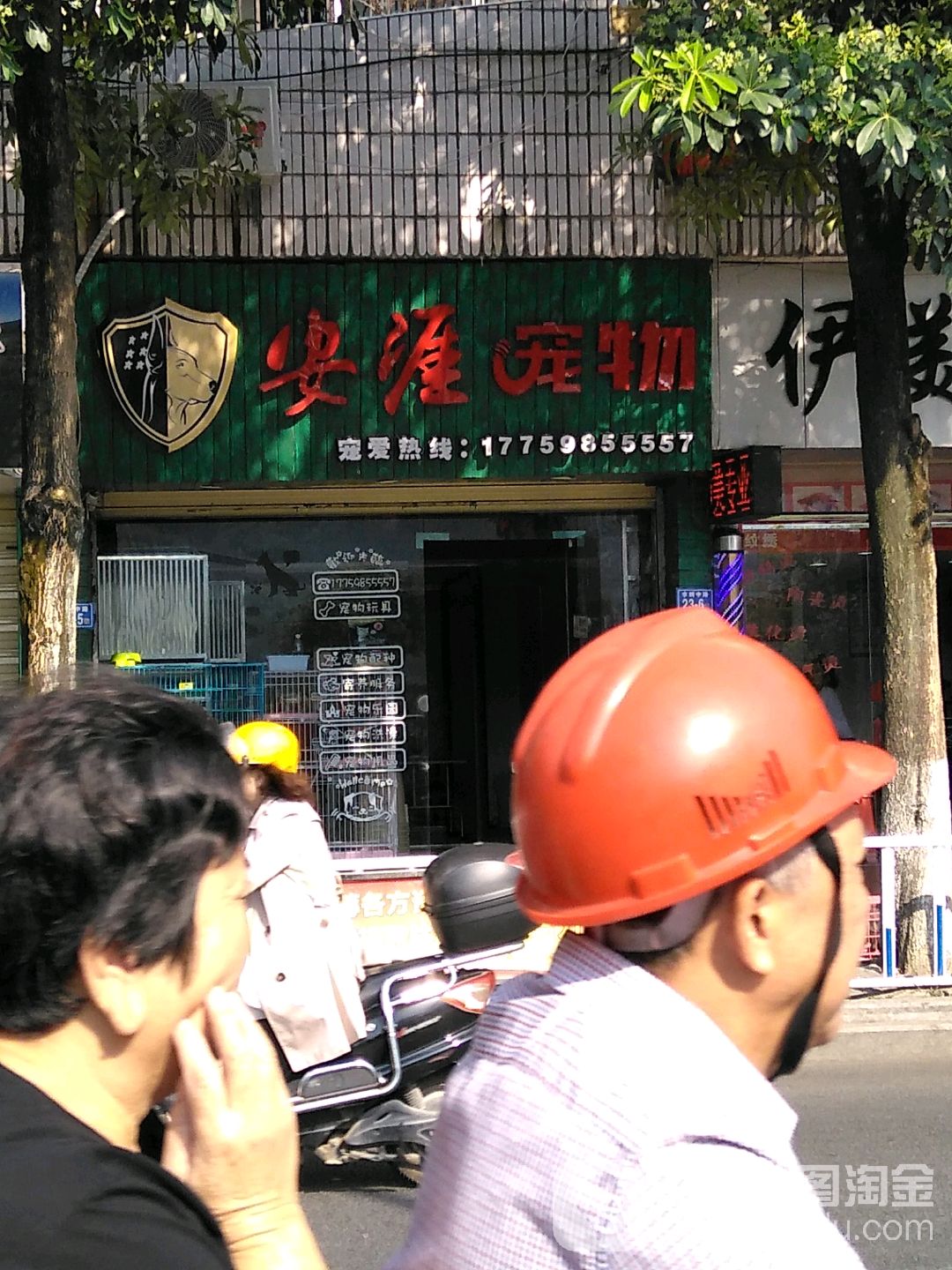安涯宠物