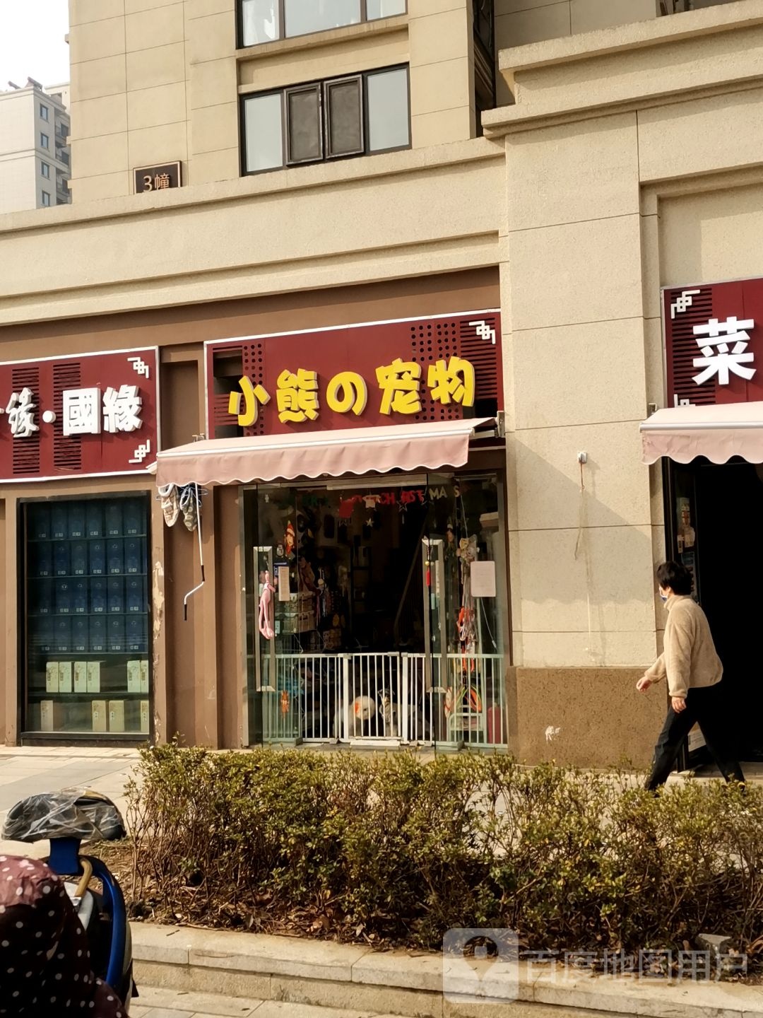 小熊的宠物
