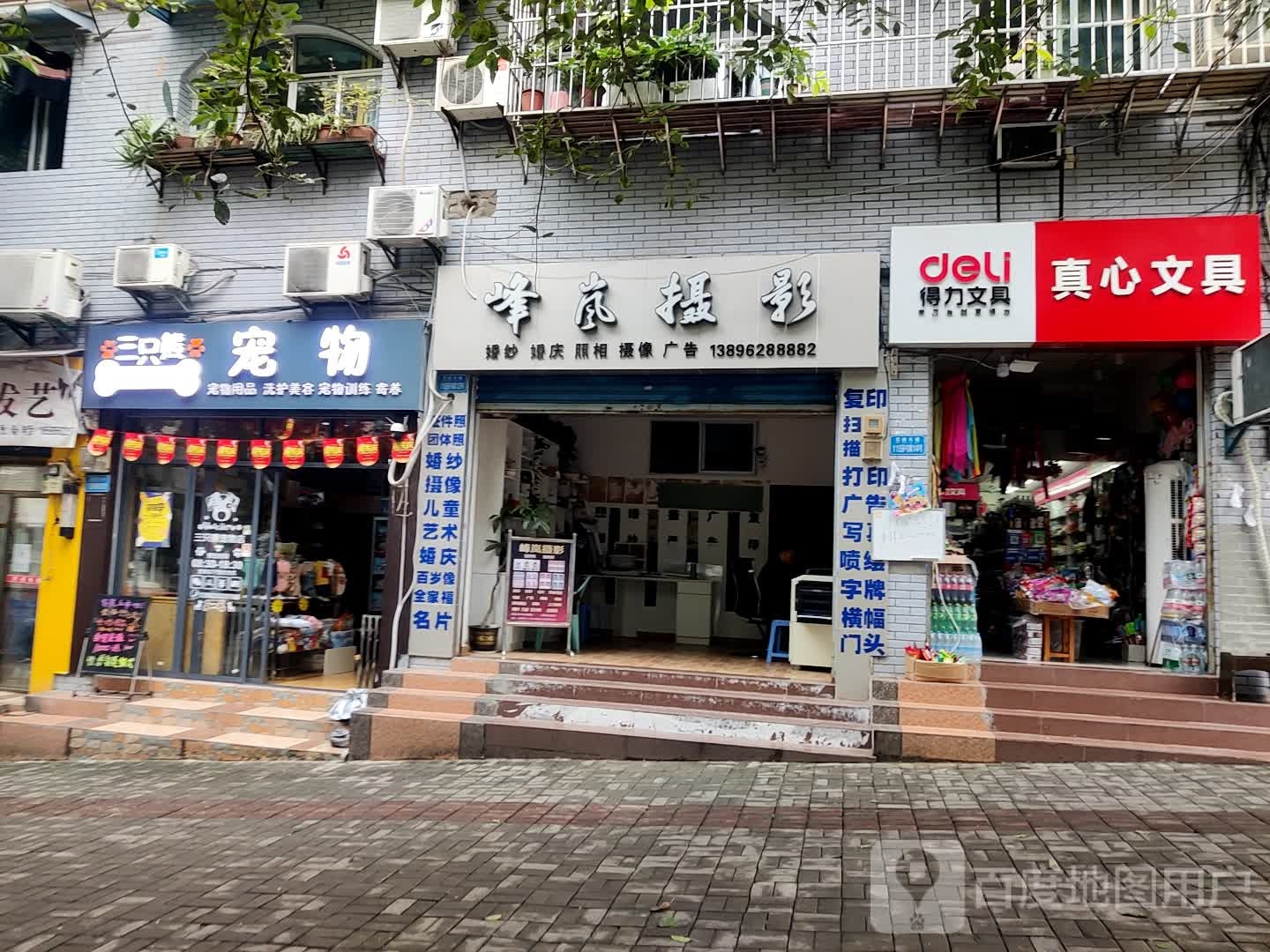 三只熊宠物