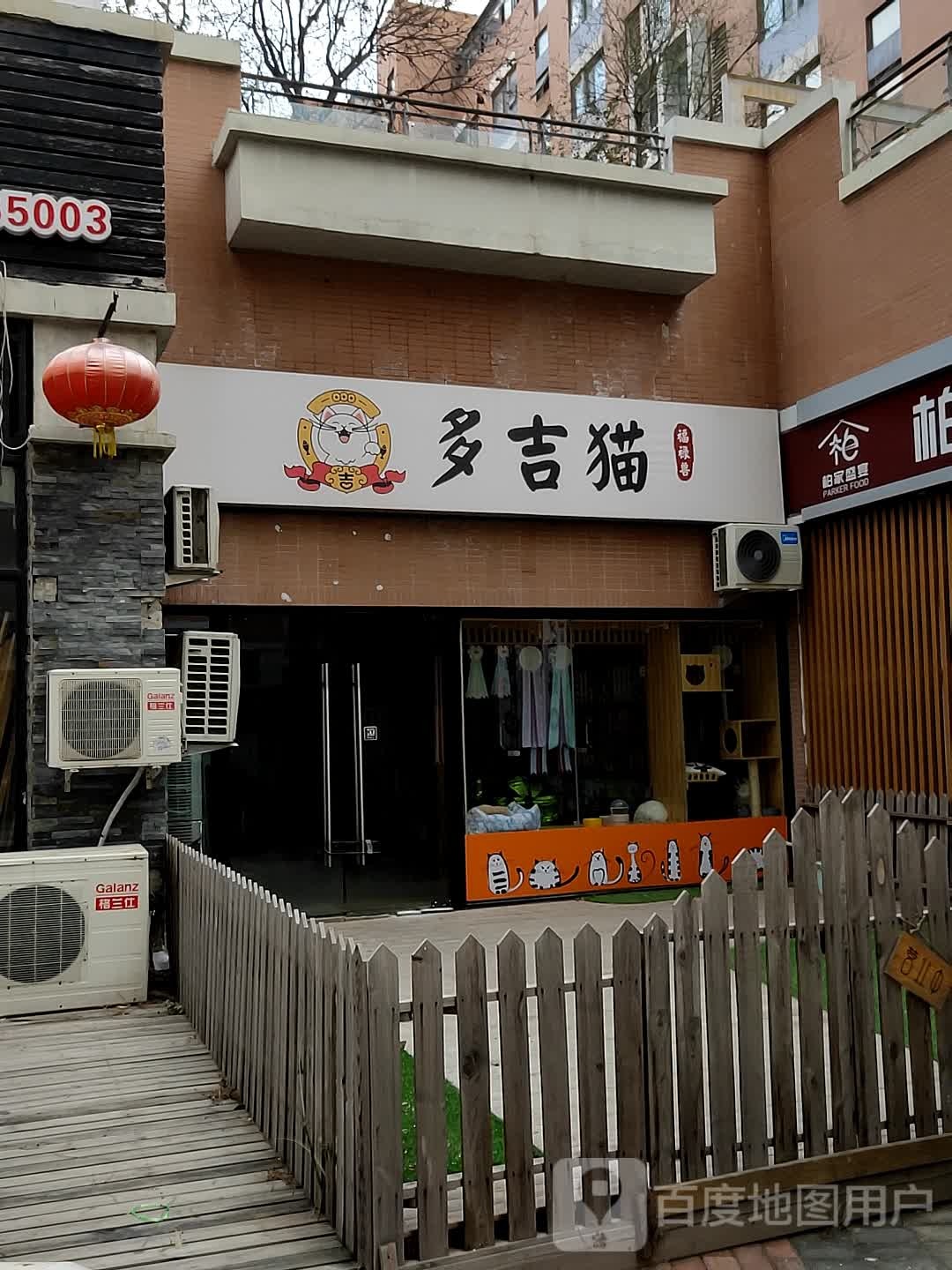 多吉猫