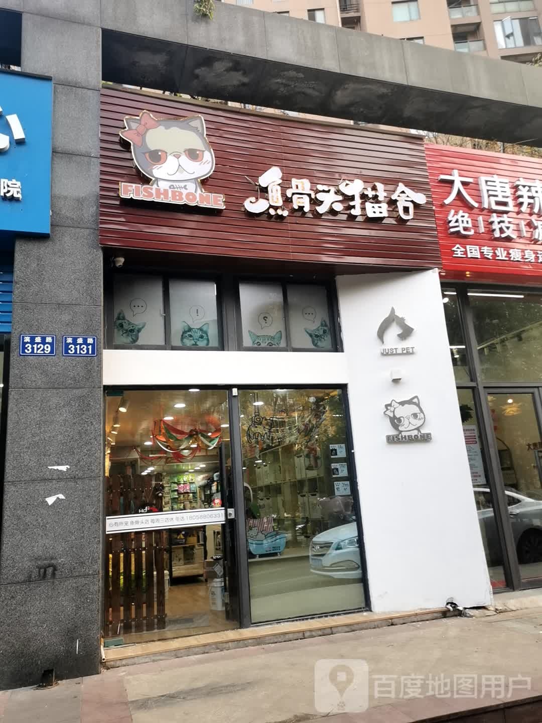 鱼骨头猫舍