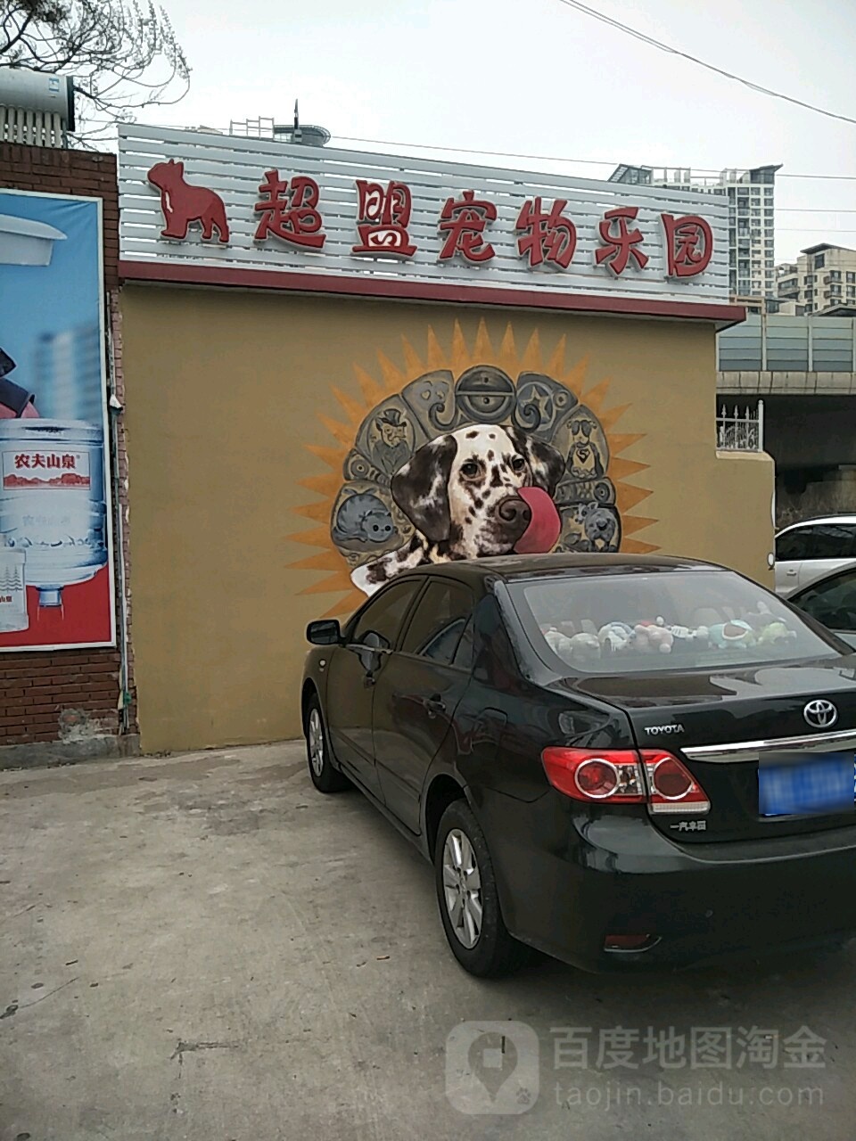 超盟宠物乐园(宠小格品牌合作店)