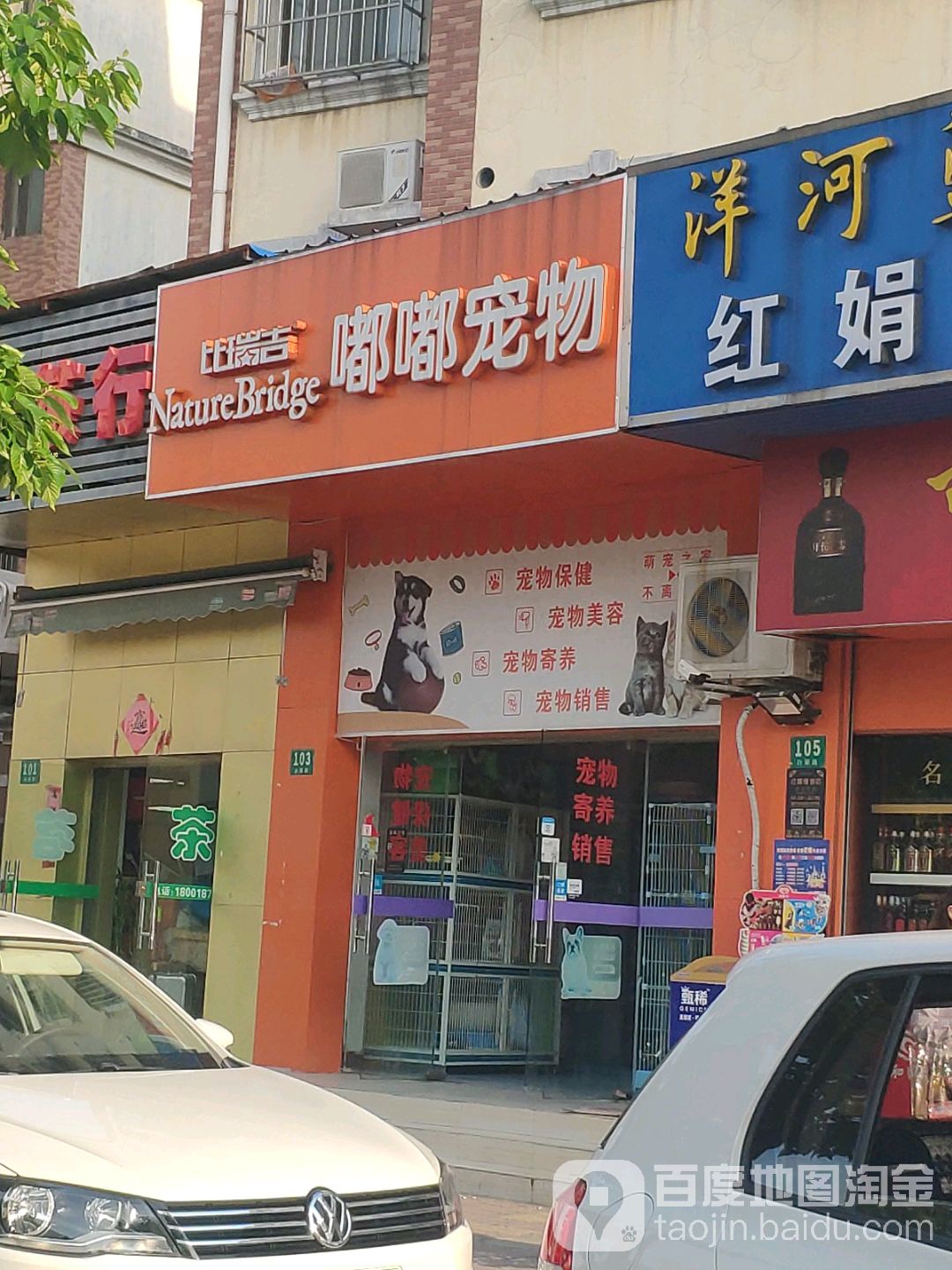 比瑞吉嘟嘟宠物