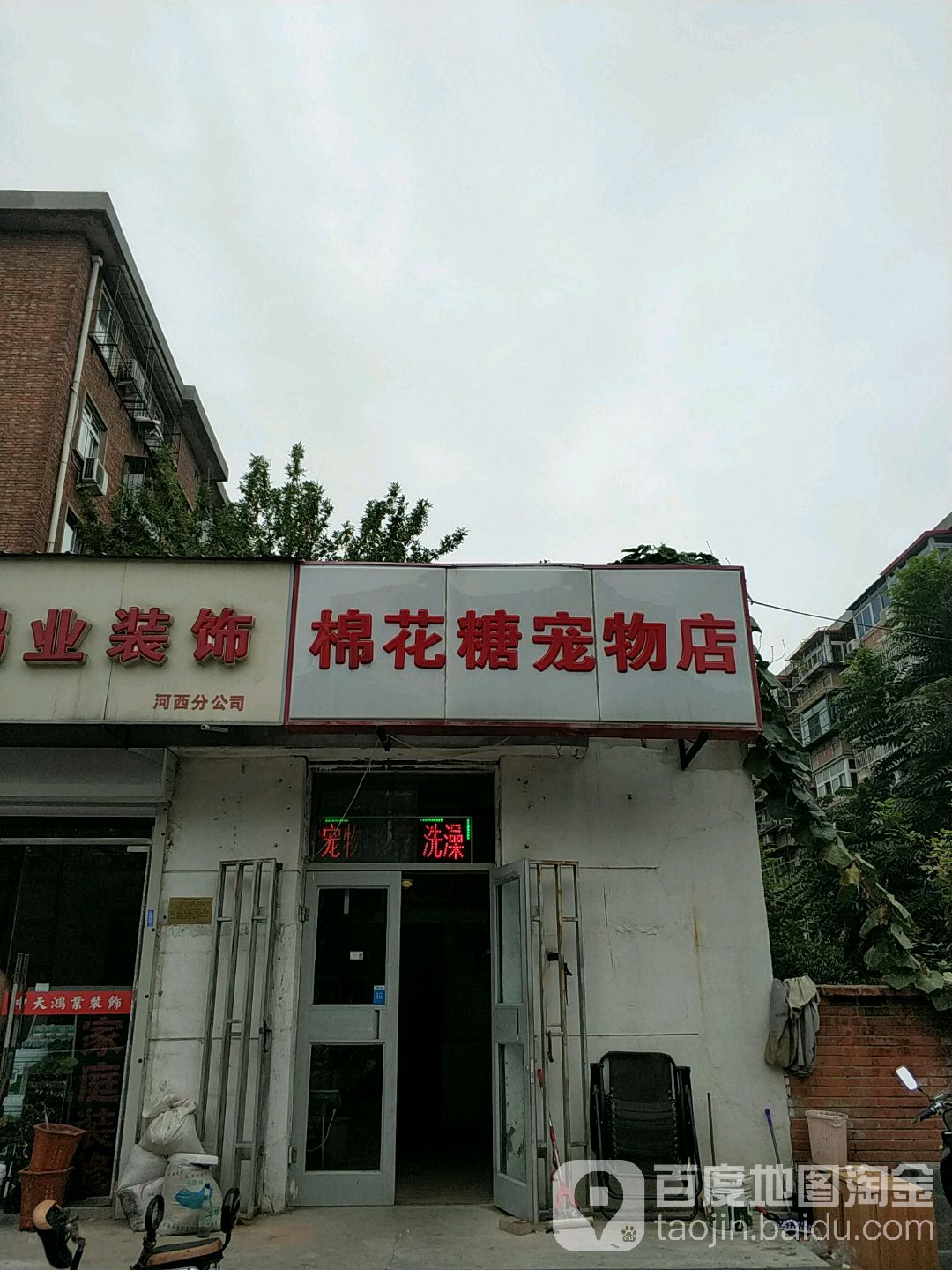 棉花糖宠物店