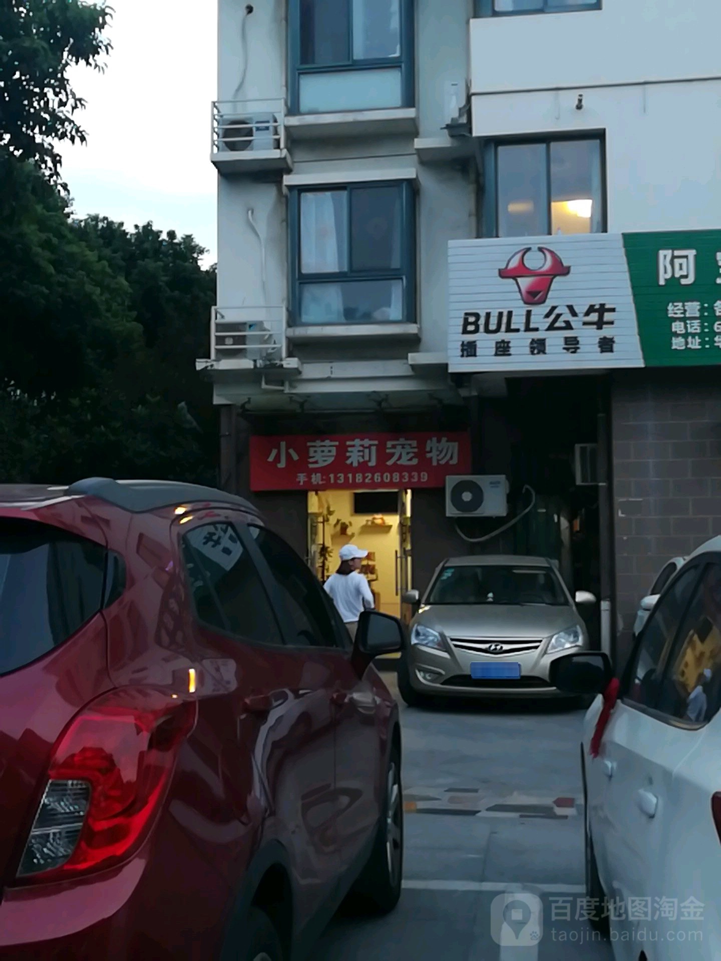 小萝莉宠物