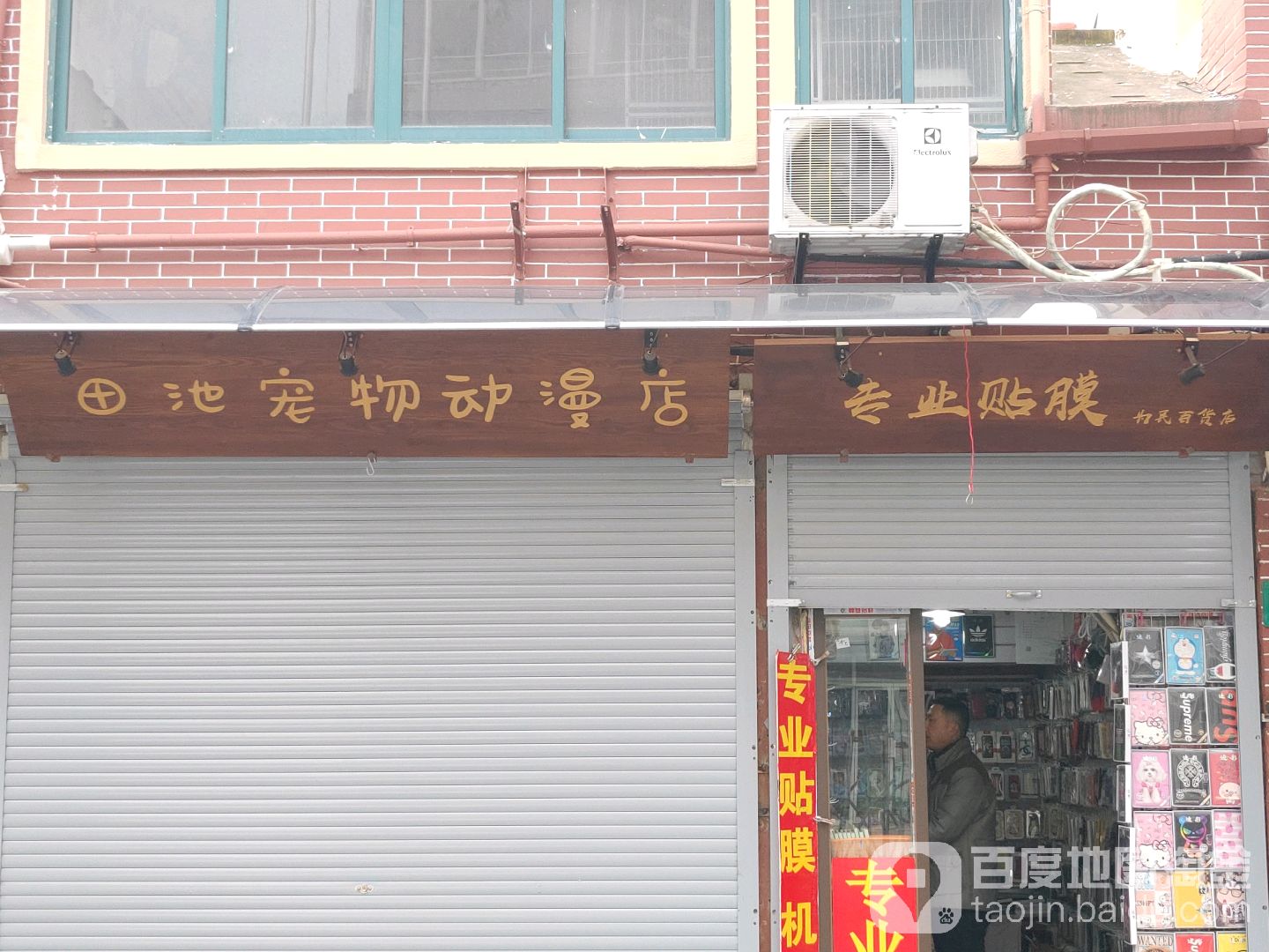 田池宠物动漫店