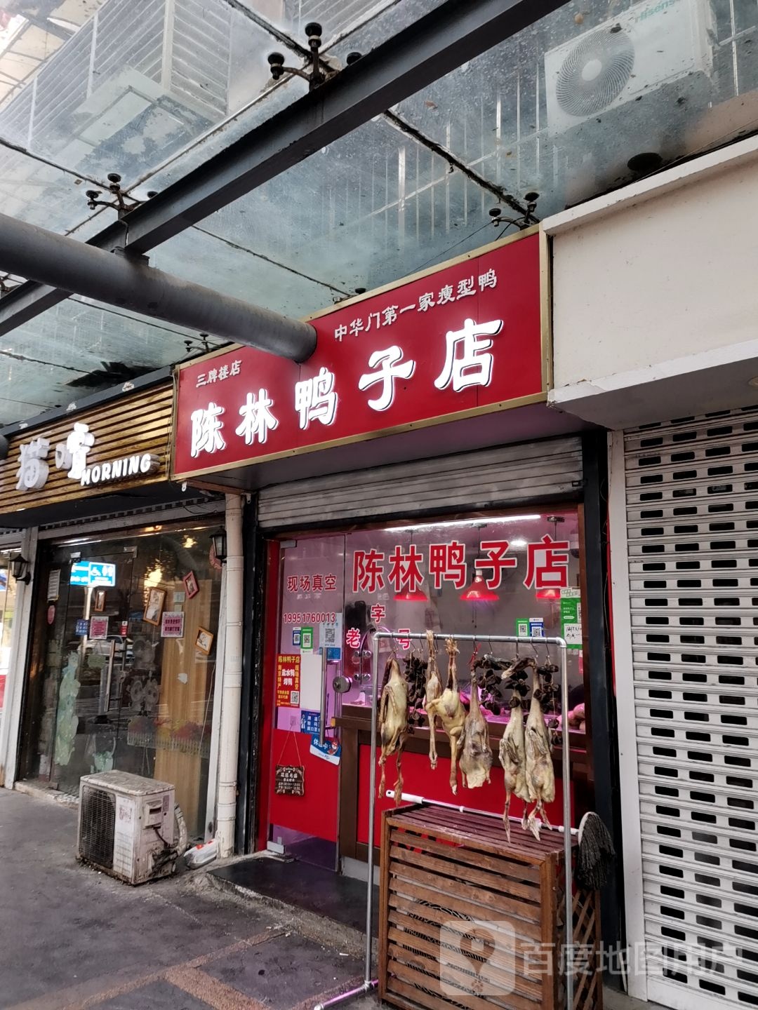 猫咛宠物店