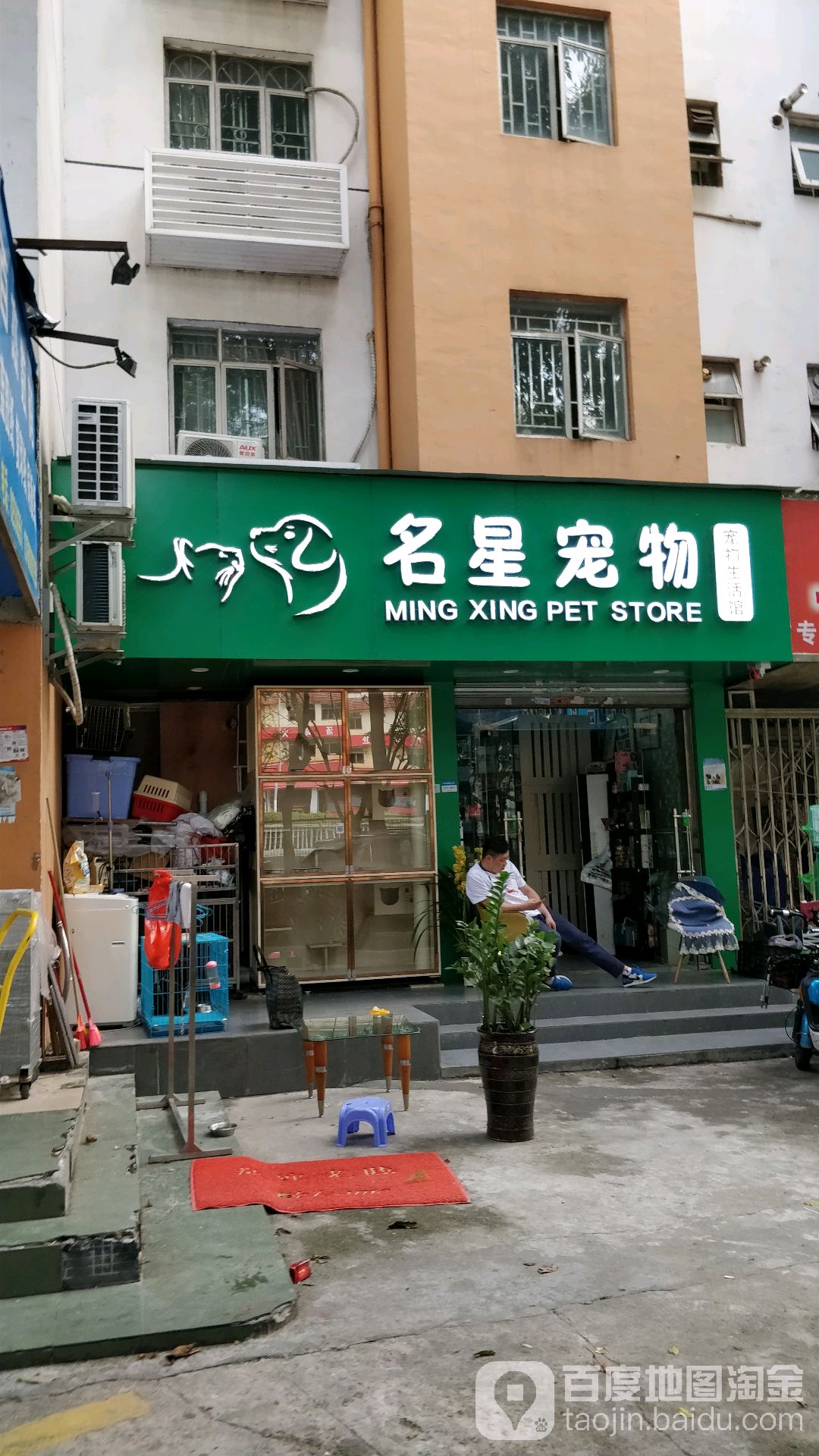 名星宠物