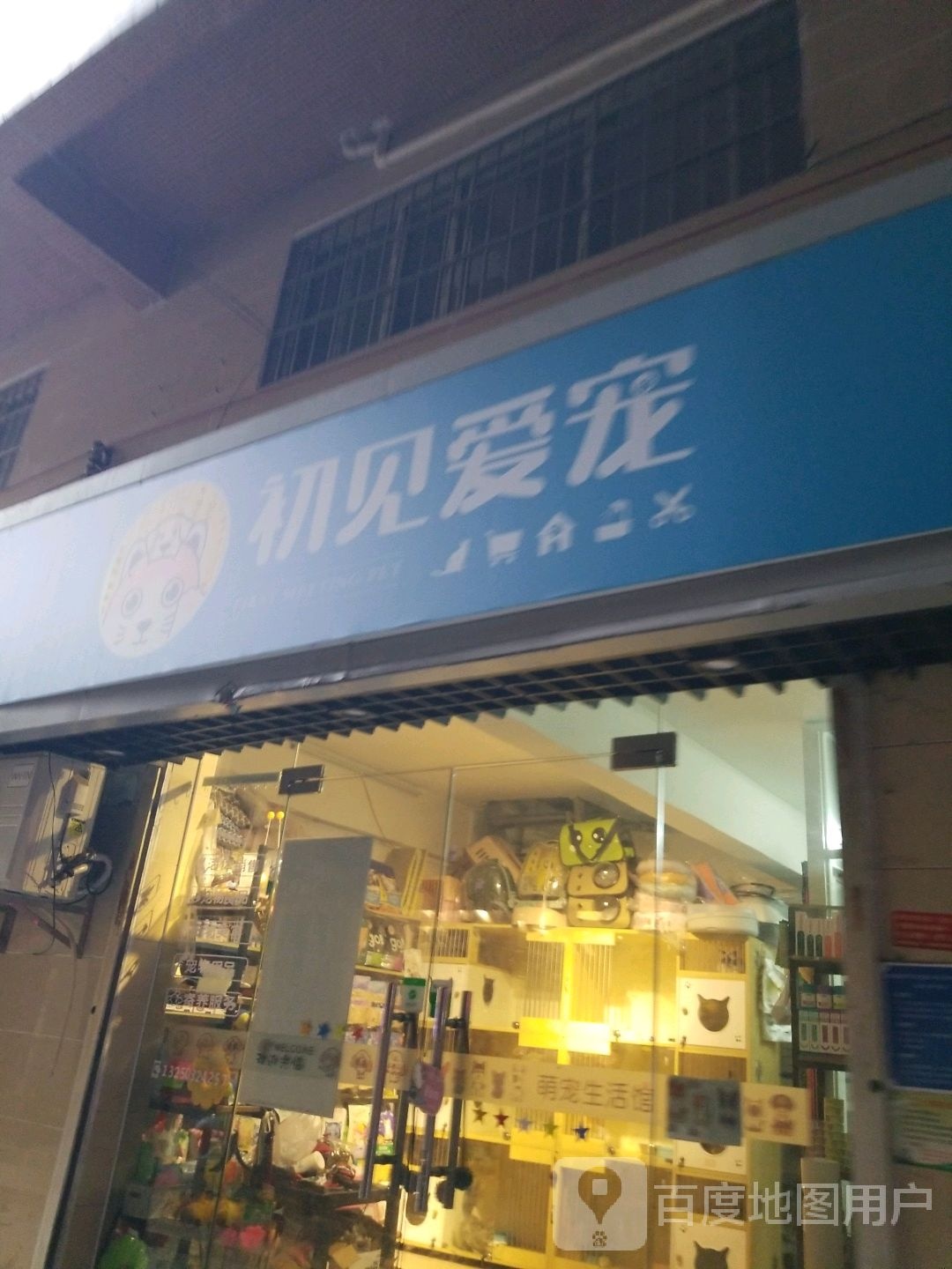 初见爱宠