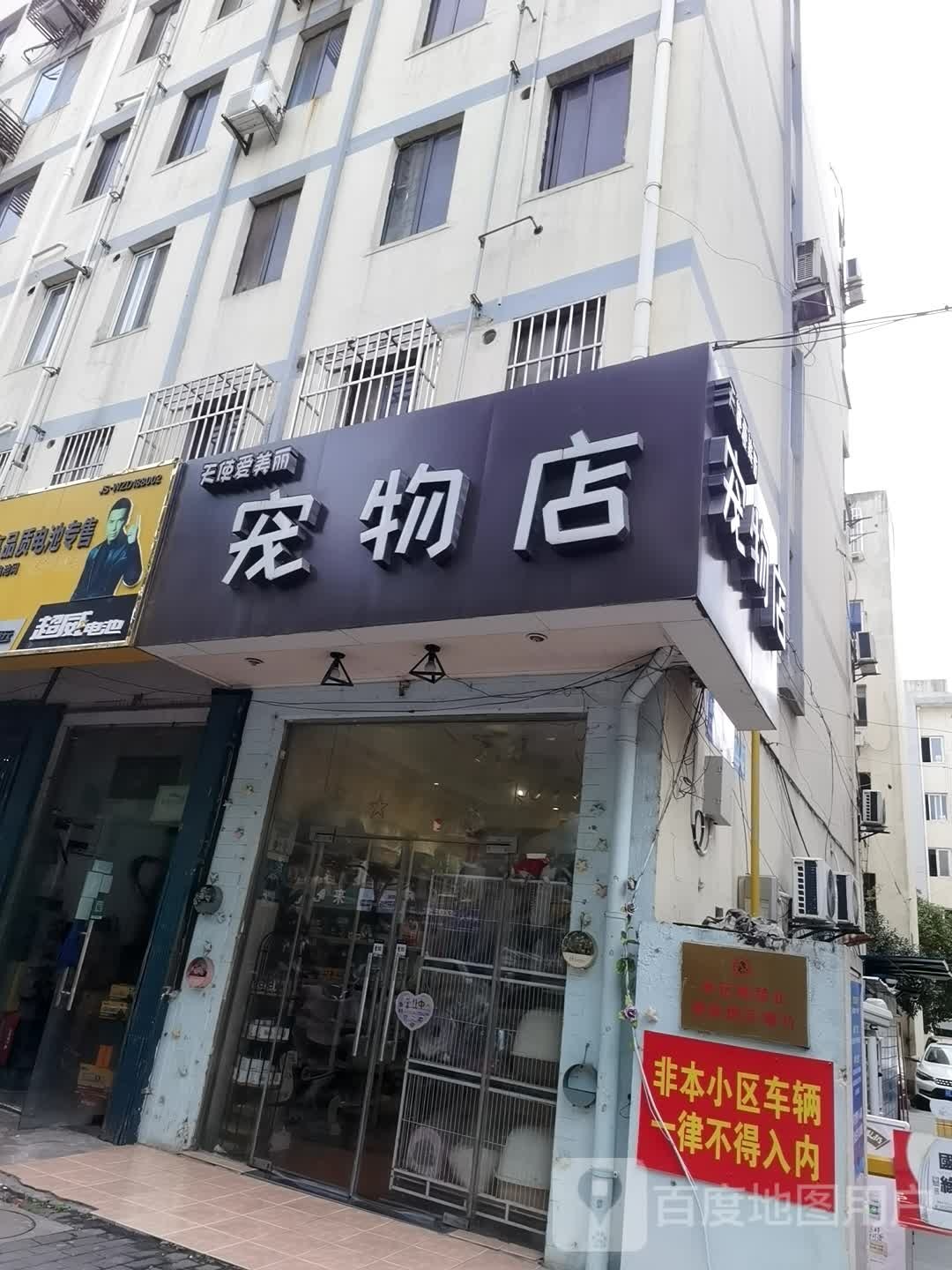 天使爱美丽宠物店
