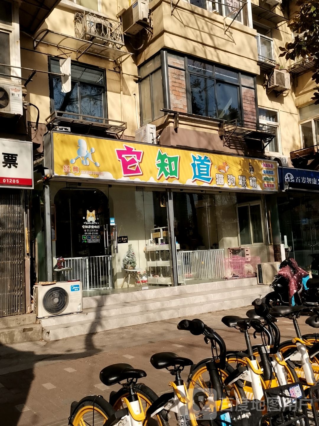 经典它知道猫狗联萌