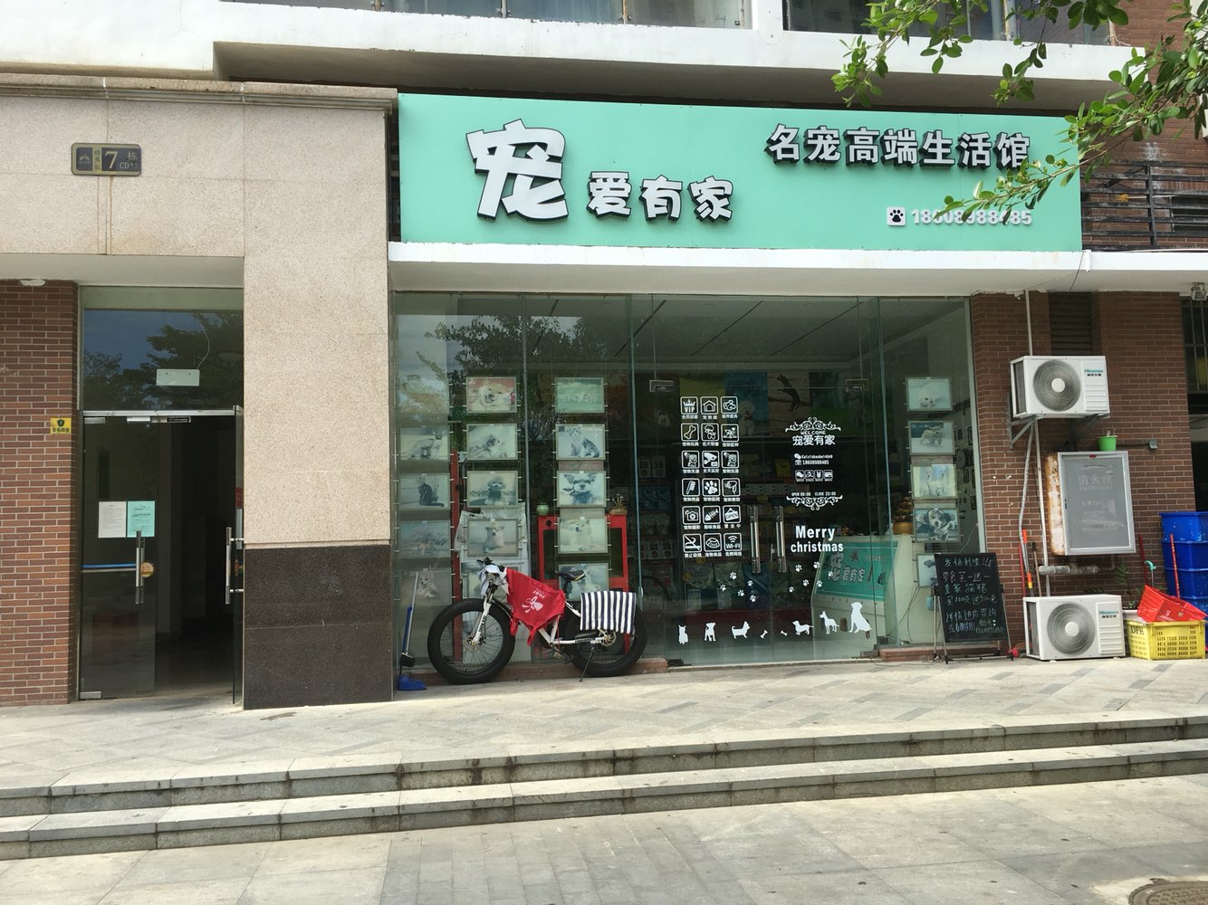 宠爱有家