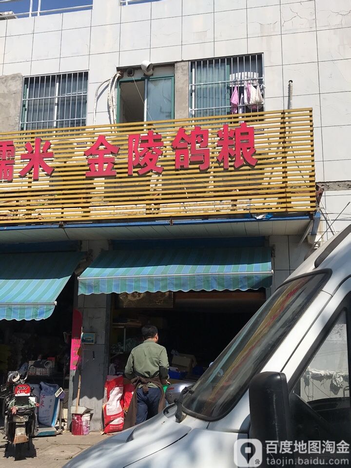 金陵鸽粮