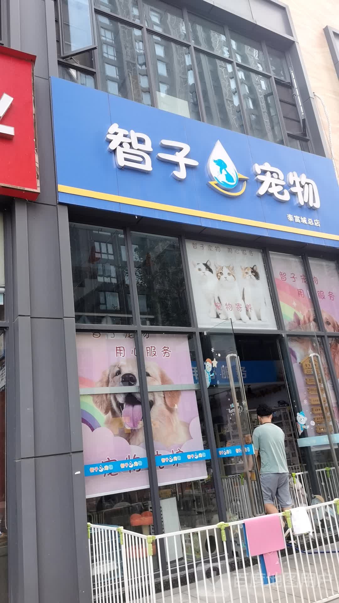 智子宠物
