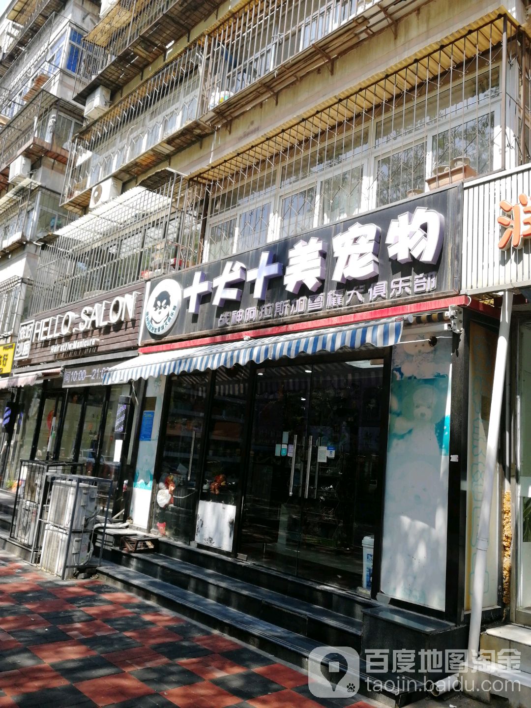 十犬十美宠物(金海道)