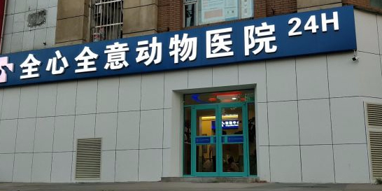 全心全意动物医院(公益西桥店)
