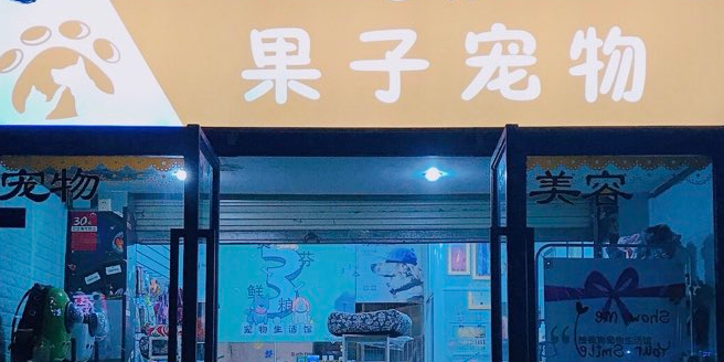 果子宠物