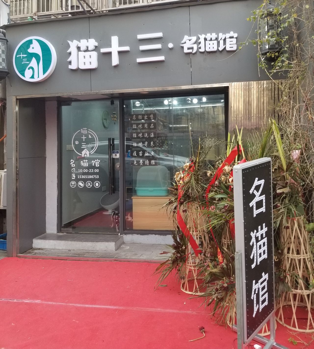 猫十三名猫馆