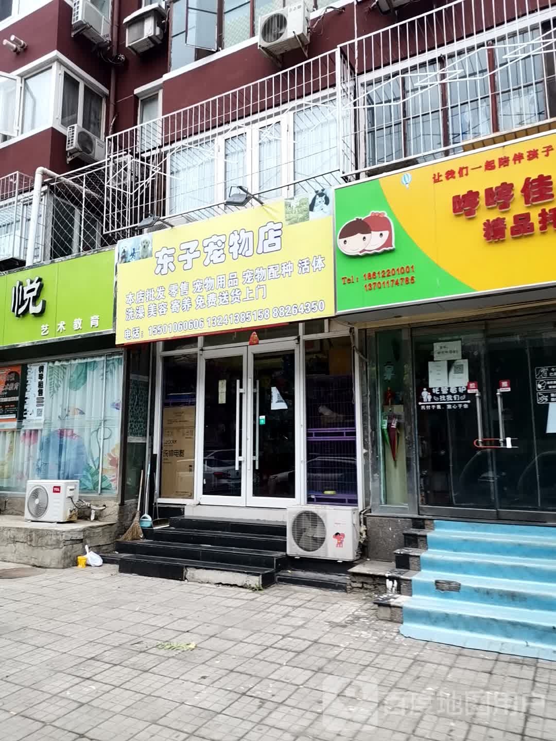 东子宠物店