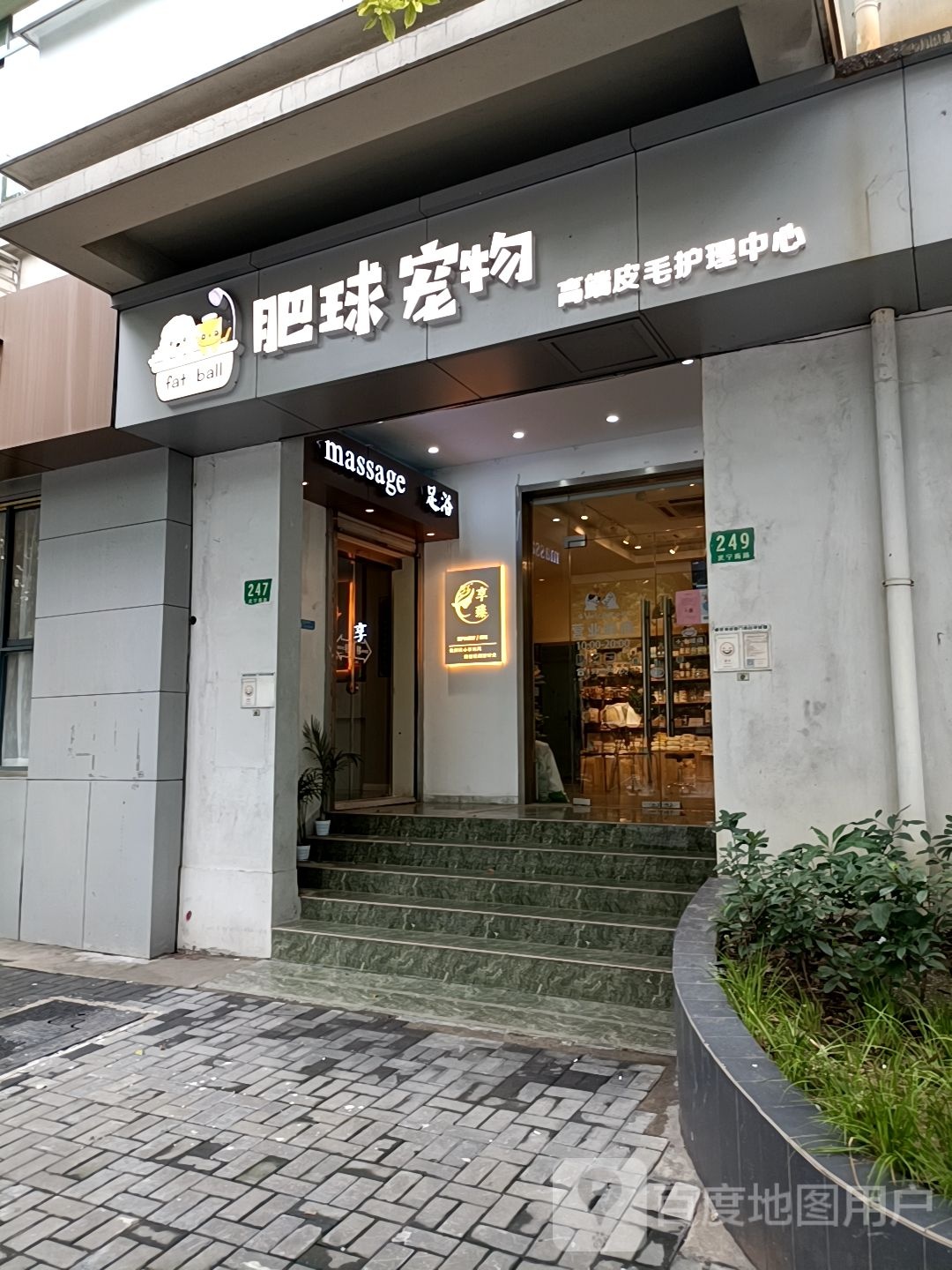 肥球宠物