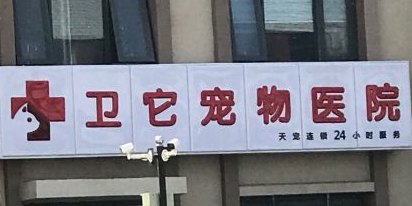 卫它宠物医院