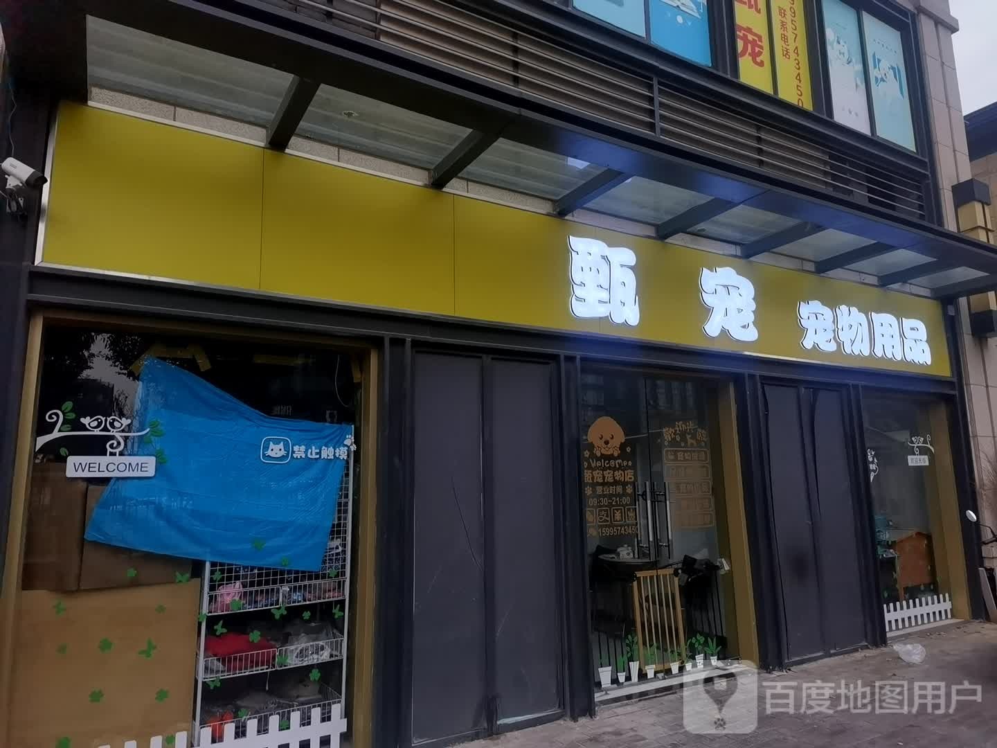甄宠