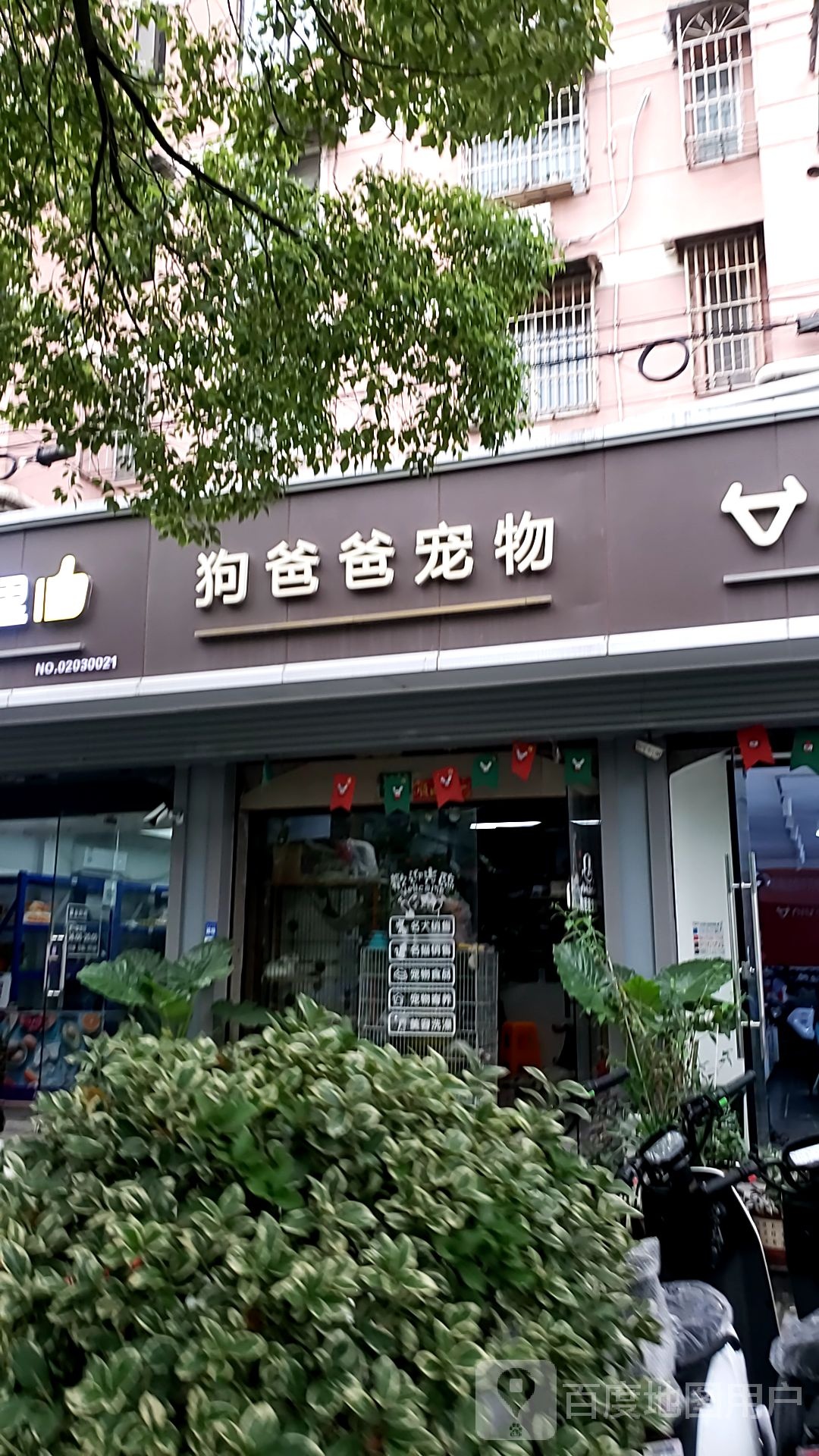 狗爸爸宠物