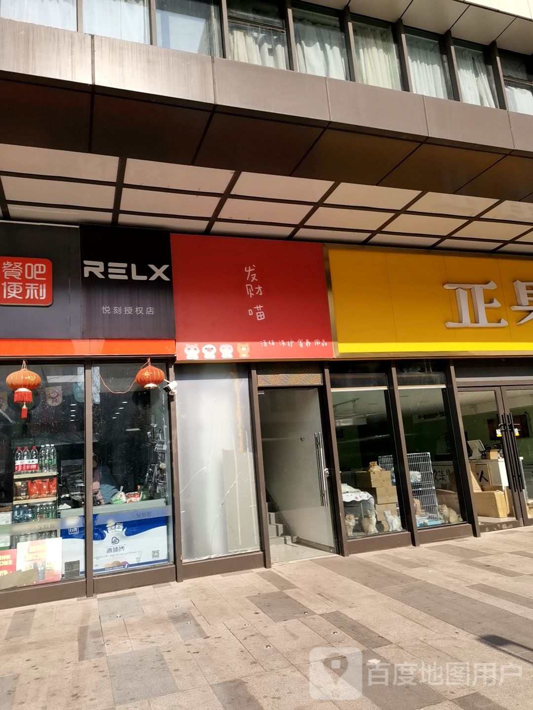 发财喵活体洗护