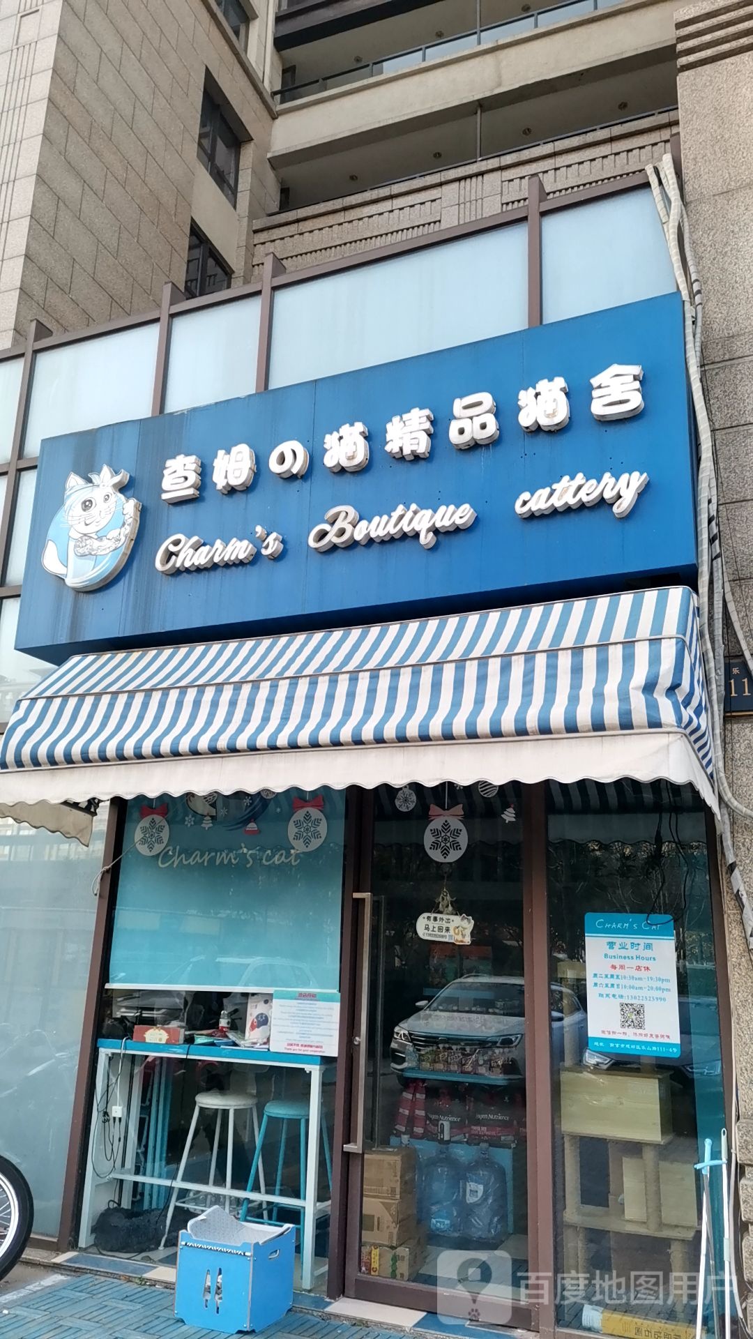 查姆猫精品猫舍