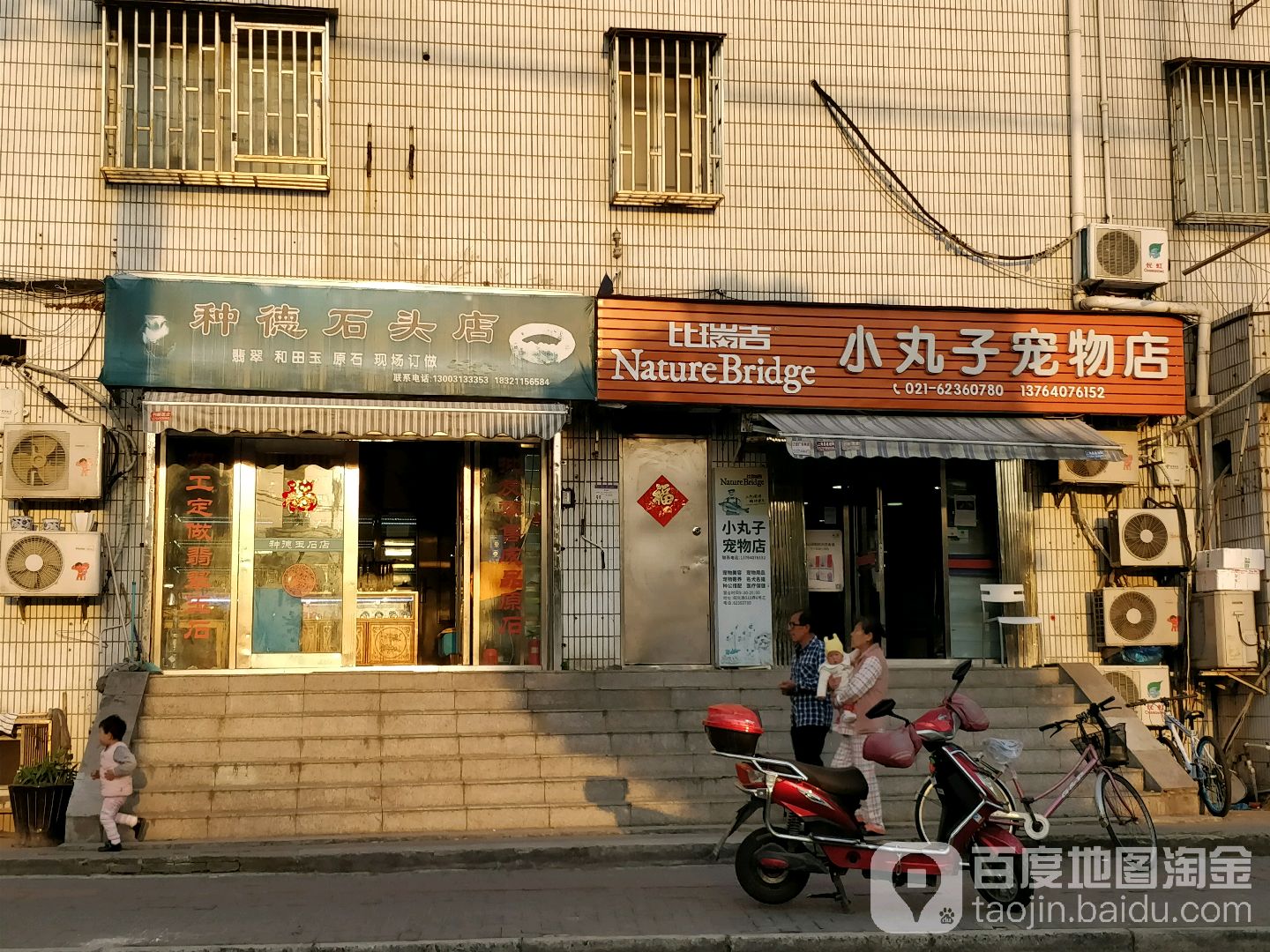 小丸子宠物店