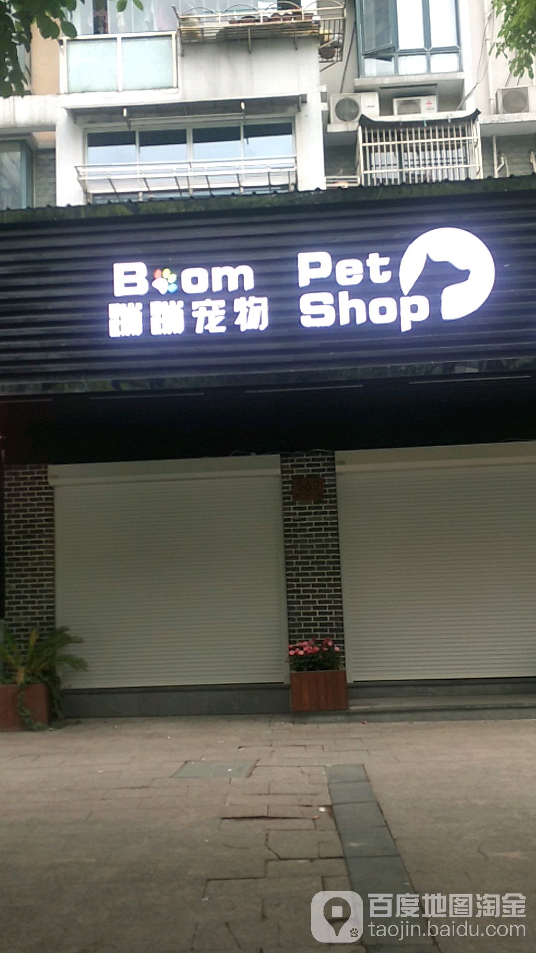 蹦蹦宠物