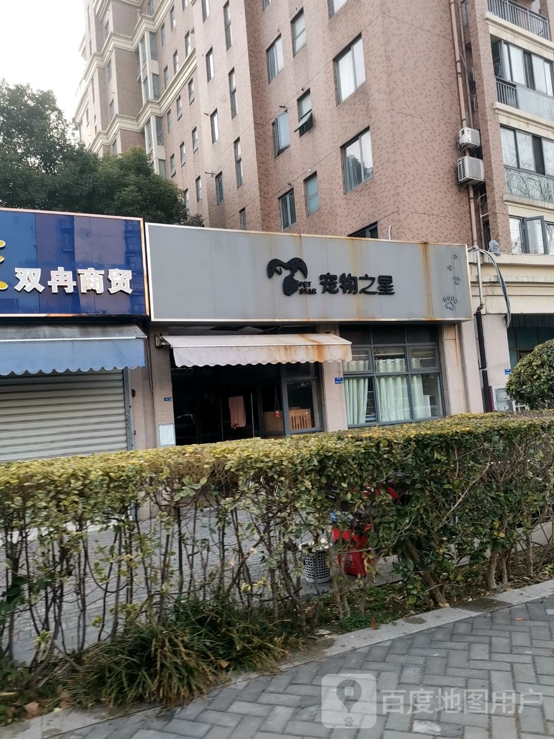 宠物之星
