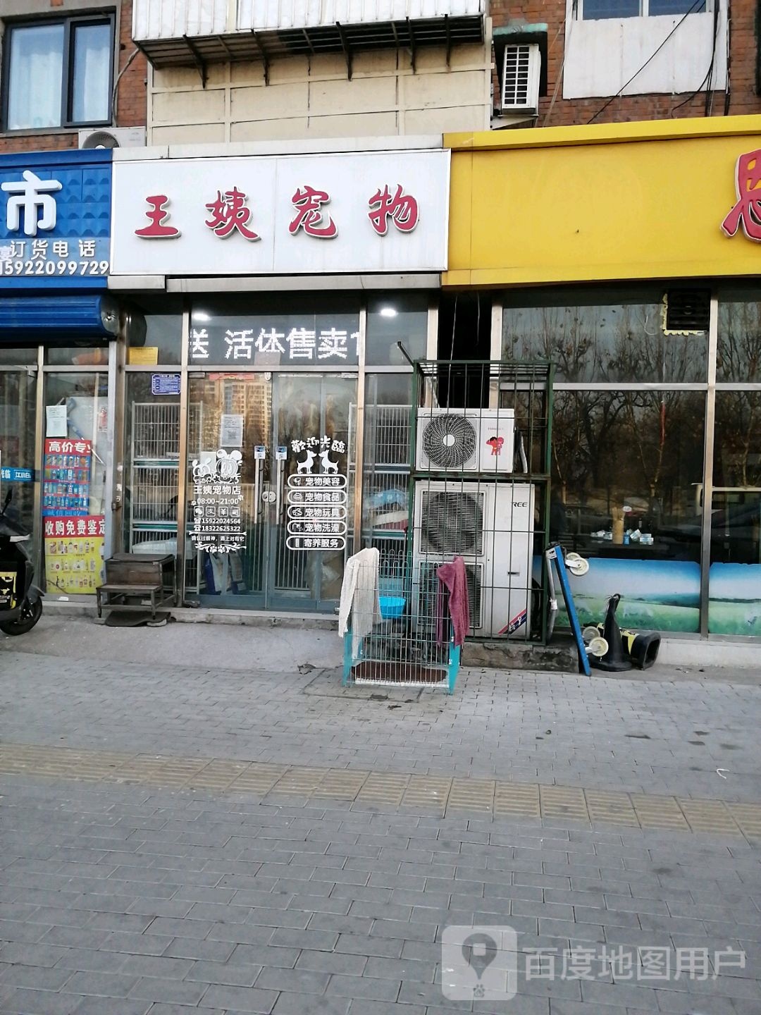 王姨宠物