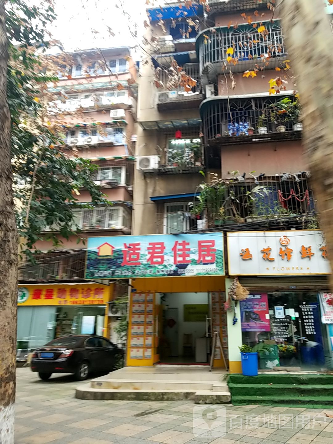 康星动物诊所(五里墩横街店)