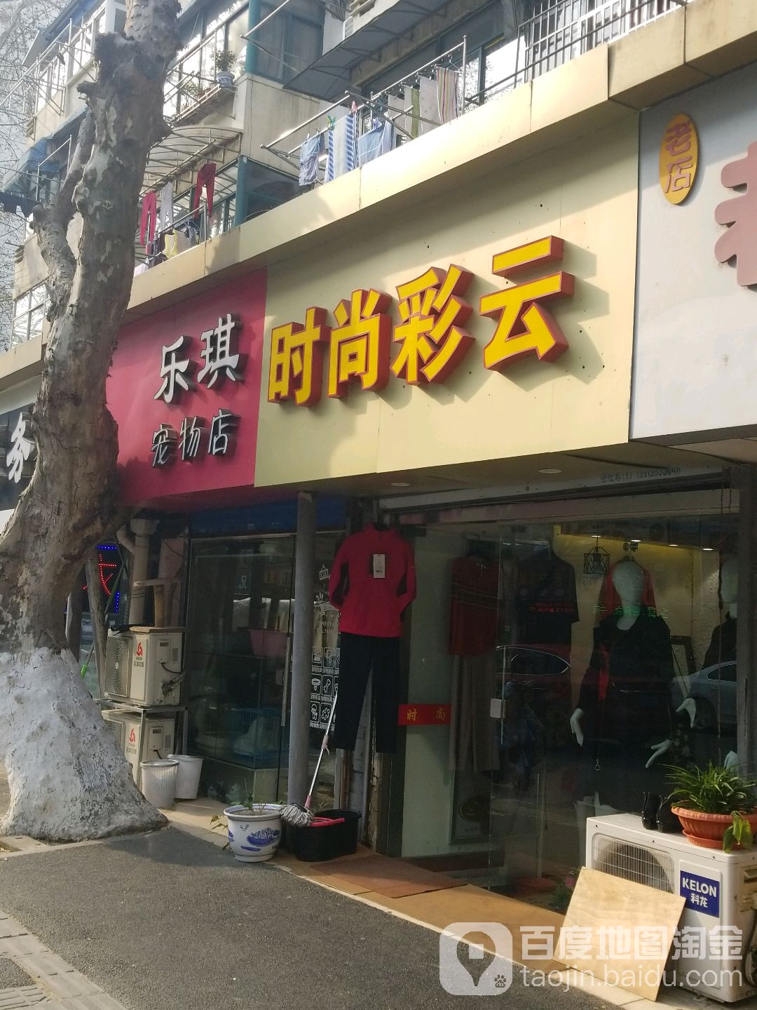 乐琪宠物店(后宰门店)